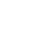 eco friendly icon
