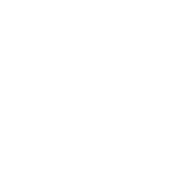 intricate geometries icon