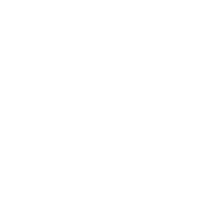 versatile material icon